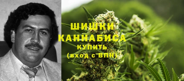 меф Арсеньев